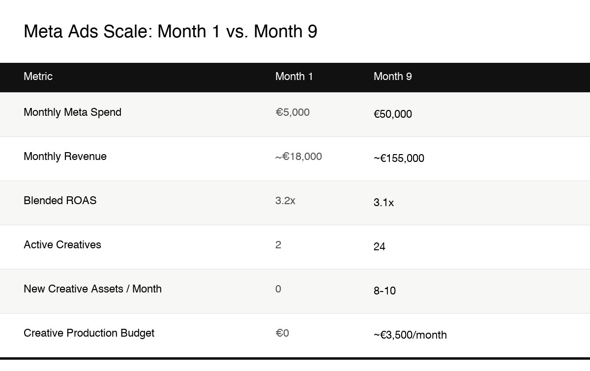 meta ads scale fashion infographic